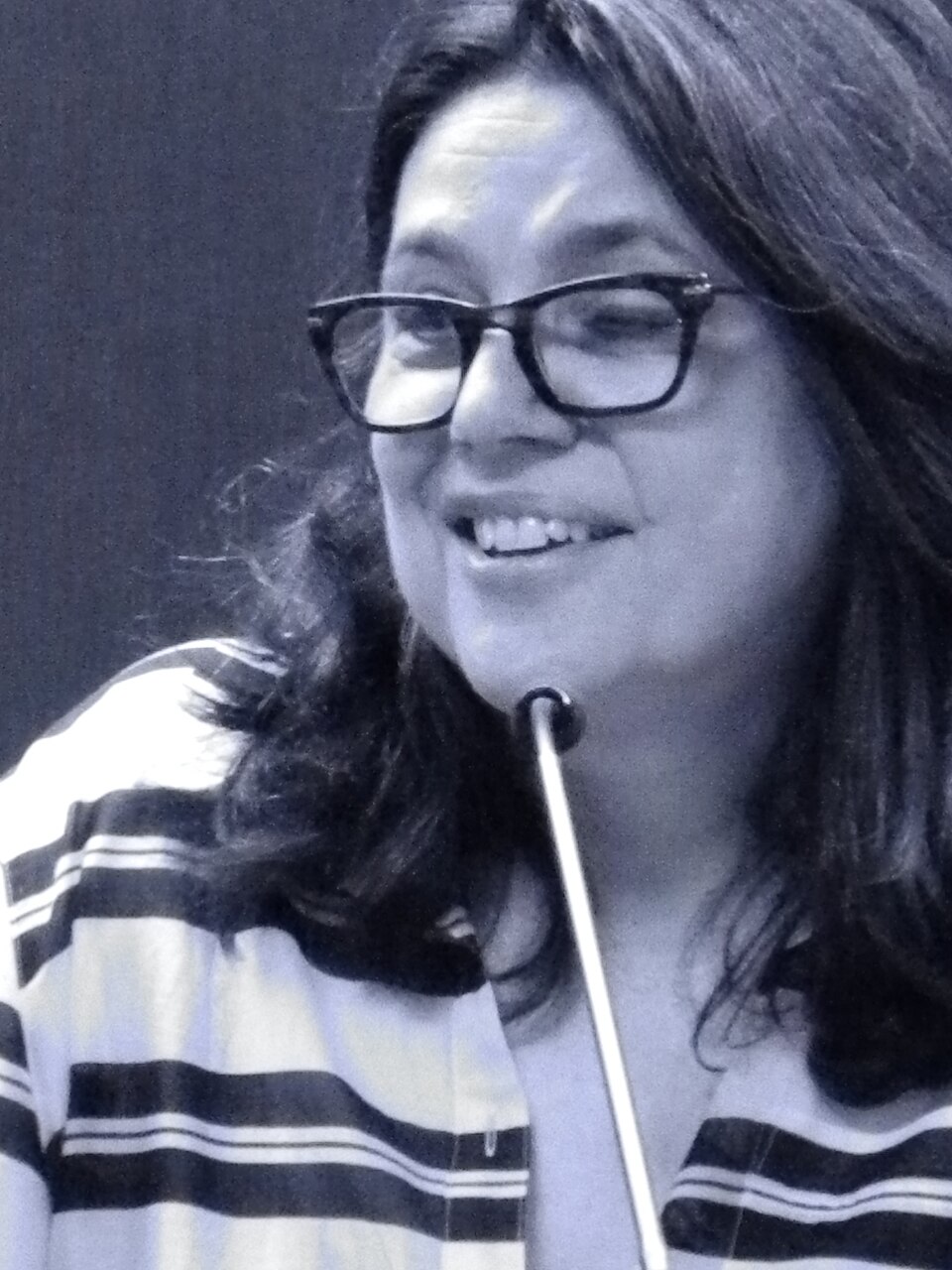 Cathleen Schine portrait