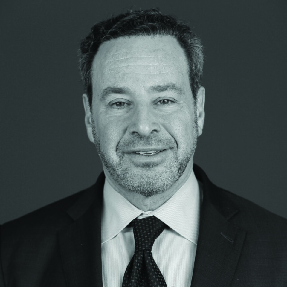 David Frum portrait