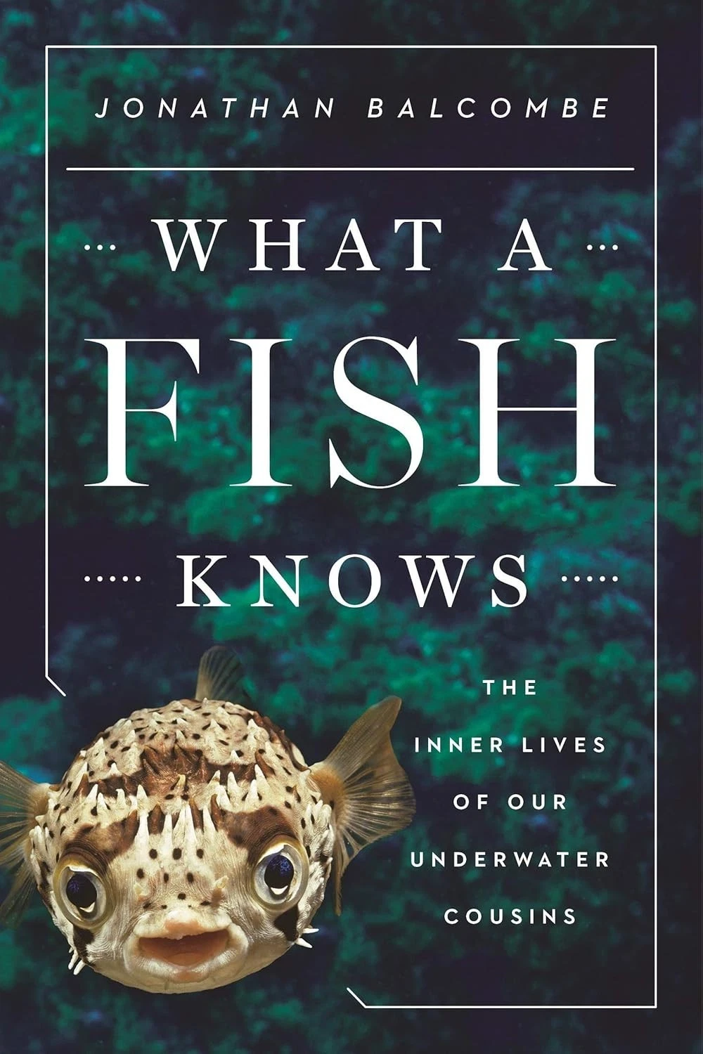 Cover of What a Fish Knows by Jonathan Balcombe