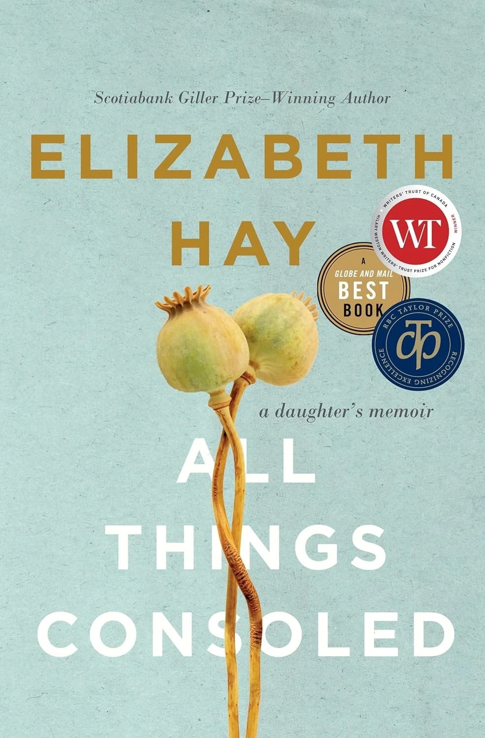 Cover of All Things Consoled by Elizabeth Hay