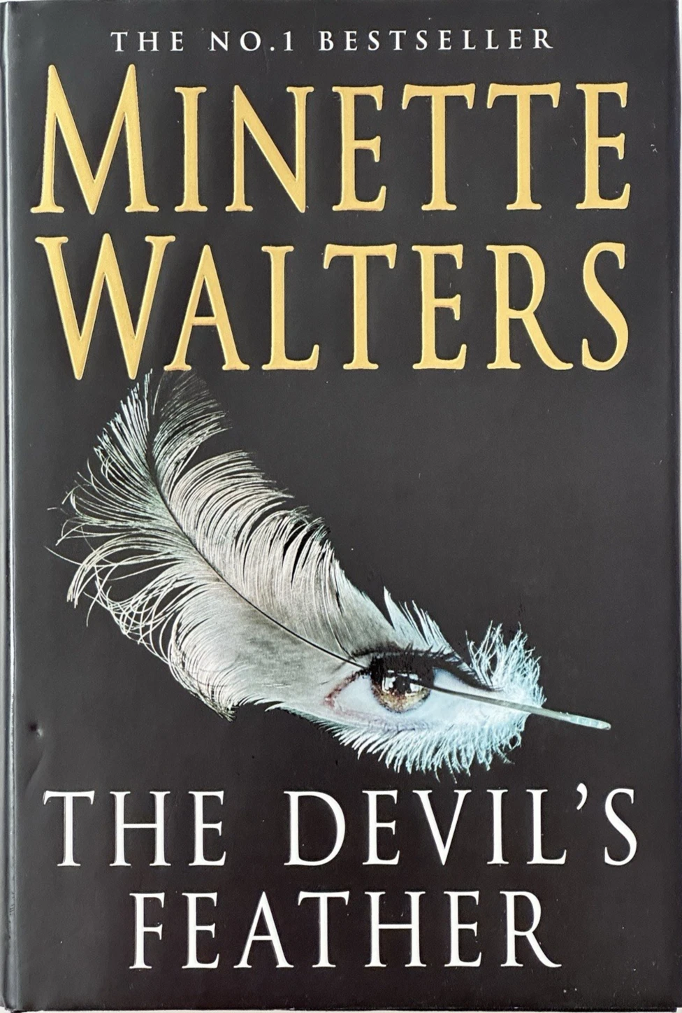 Cover of The Devil's Feather by Minette Walters